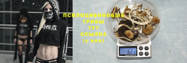 хмурый Зерноград
