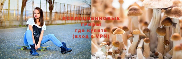 скорость Козельск