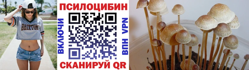 Галлюциногенные грибы MAGIC MUSHROOMS  Навашино 